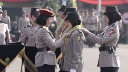 IMG-20250609-WA0016