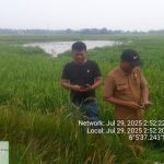 IMG-20250729-WA0090_copy_942x558
